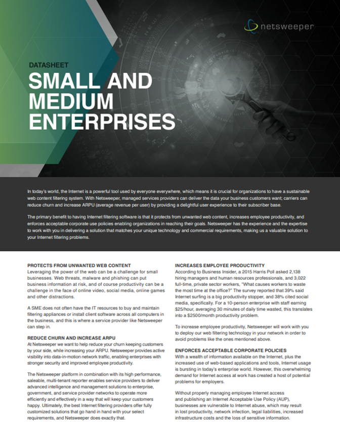 Datasheet: Small and Medium Enterprises