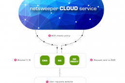 NS Cloud flow diagram