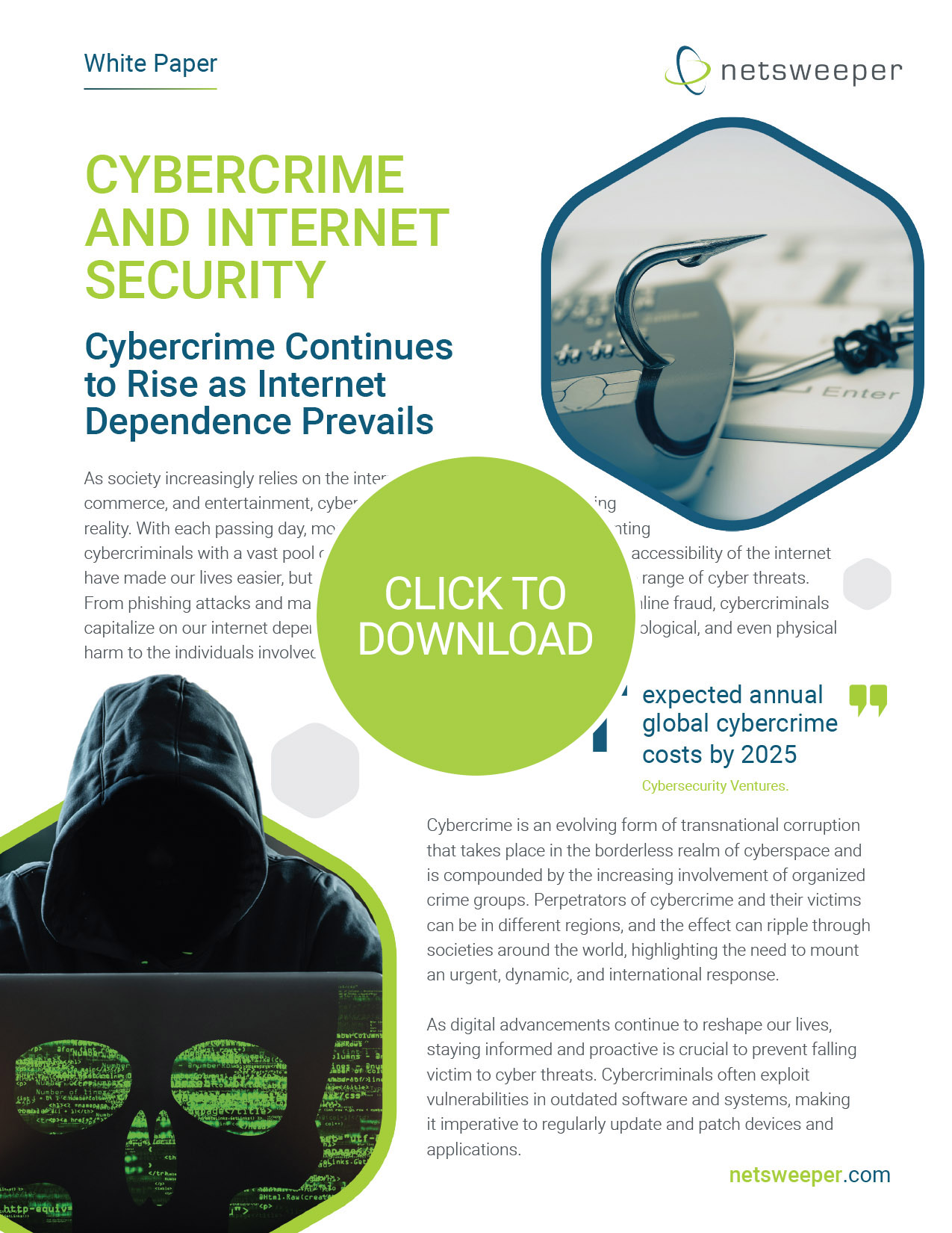 White Paper: Cybercrime and Internet Security